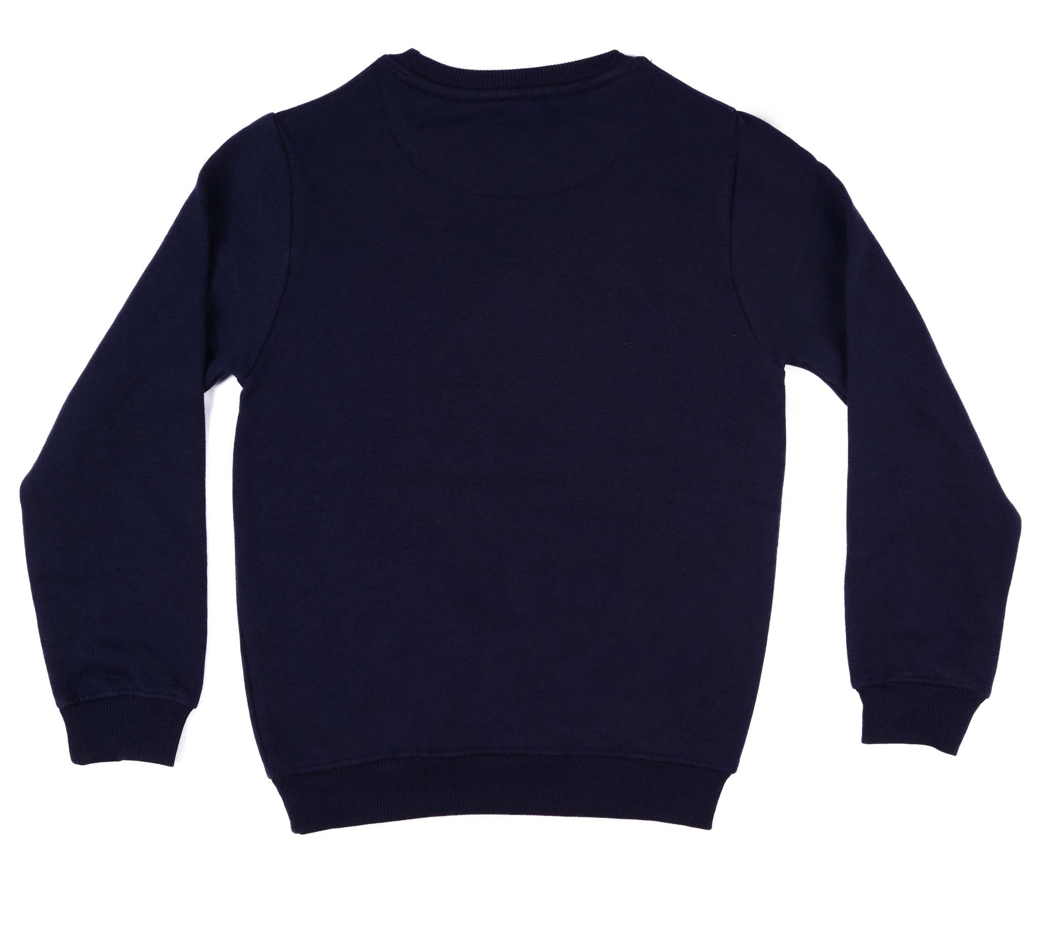 FRANCE SWEATSHIRT WITH VINTAGE FRENCH FLAG SPORTS DESIGN | BLUE